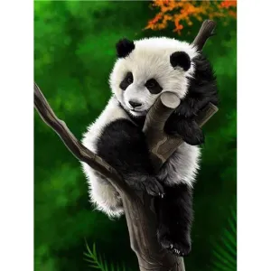 Panda Sleeps On The Tree