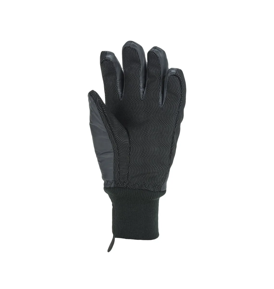 Sealskinz Waterproof All Weather Lightweight Insulated Glove