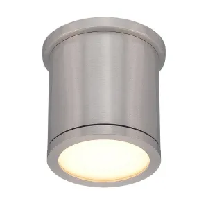 Tube 5 in. LED Flush Mount Light 120-277V, 3000K Brushed Aluminum