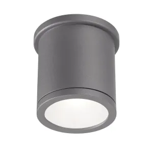 Tube 5 in. LED Flush Mount Light 120-277V, 3000K Graphite